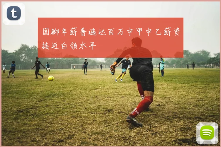 国脚年薪普遍达百万中甲中乙薪资接近白领水平