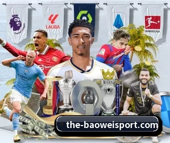 宝威体育 APP | BOWWAYSPORTS